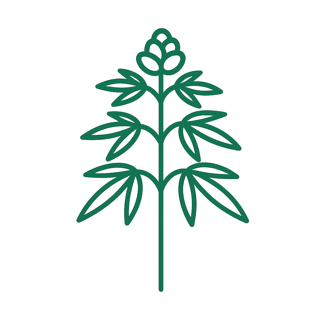 Protocolo e acompanhamento